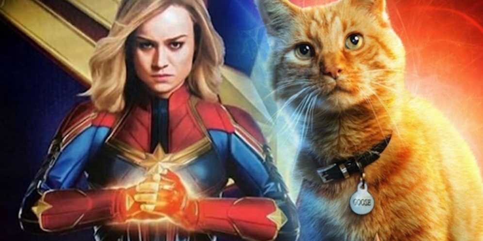 Mencuri Perhatian! Ini Fakta Menarik Goose Kucingnya Captain Marvel